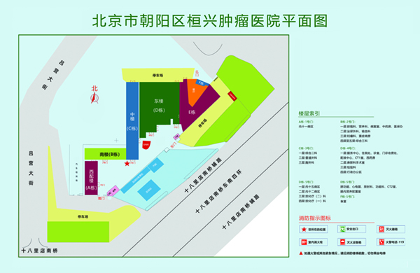 大鸡吧操小逼逼视频免费看北京市朝阳区桓兴肿瘤医院平面图